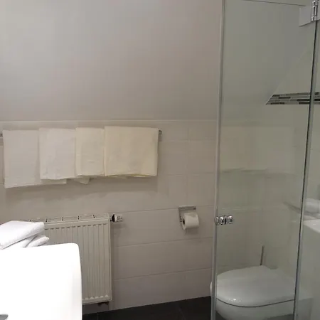 Hotel Hotel-gasthaus Krone 3*